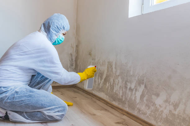 Licensed Bathroom Mold Removal service in Nutley, NJ - WQB Mold Removal