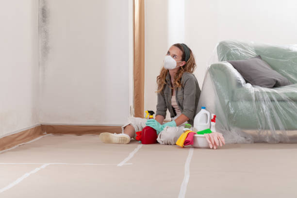 Reliable Bathroom Mold Removal contractor in Nutley, NJ by WQB Mold Removal
